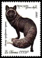 (1980-055) Марка СССР "Серебристо-чёрная лисица"    Ценные породы пушных зверей III Θ