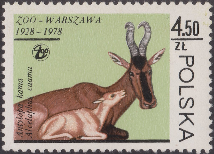 (1978-052) Марка Польша &quot;Каама&quot;    50 лет Зоопарку Варшавы III O