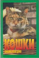 Книга Кошки 1998 Энциклопедия Москва Твёрдая обл. 272 с. С цв илл
