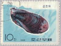 (1968-034) Марка Северная Корея "Европейская жемчужница"   Моллюски III O