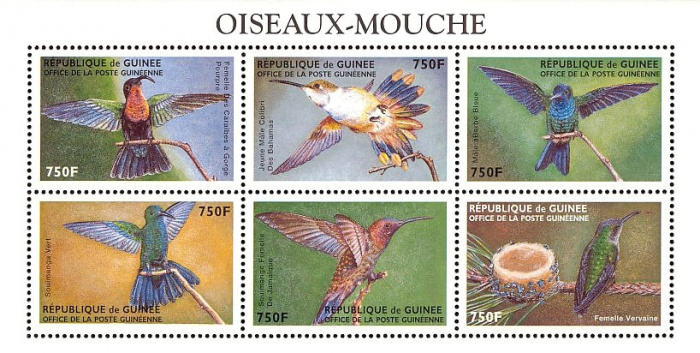 (№1999-2589) Лист марок Республика Гвинея 1999 год &quot;Колибри&quot;, Гашеный