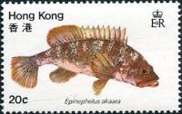 (№1981-368) Марка Гонконг 1981 год "Гонконг Групер Epinephelus akaara", Гашеная