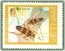 (1977-020a) Марка Вьетнам &quot;Черепицевидный усач&quot;  Без перфорации  Жуки III Θ
