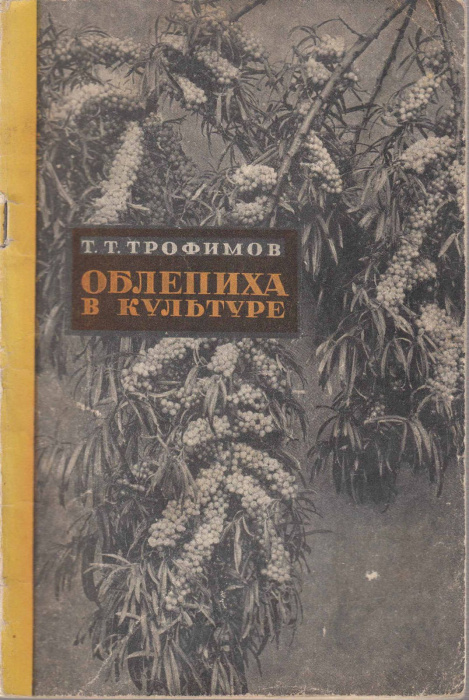 Книга &quot;Облепиха в культуре&quot; Т. Трофимов Москва 1967 Твёрдая обл. 72 с. С чёрно-белыми иллюстрациями