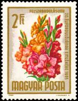 (1965-030) Марка Венгрия "Гладиолус"    20-я годовщина освобождения. Букеты цветов II Θ