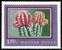 (1971-054) Марка Венгрия "Кактусы"    200-летие Ботанического сада Университета Будапешта III Θ