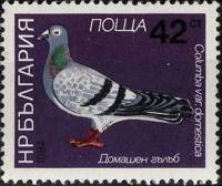 (1984-042) Марка Болгария "Домашний голубь"   Голуби III O
