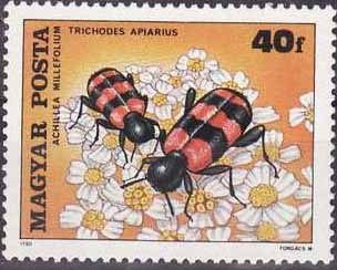 (1980-82) Марка Венгрия "Пестряк пчелиный"    Насекомые, опыляющие цветы II &Theta;