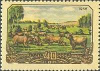 1956-090 Марка СССР Стадо коров   Сельское хозяйство в СССР II Θ