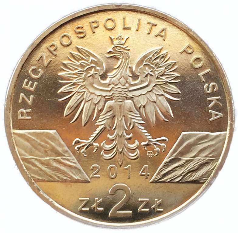 (258) Монета Польша 2014 год 2 злотых &quot;Польская верховая лошадь&quot;  Латунь  UNC