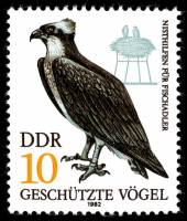 (1982-041) Марка Германия (ГДР) "Скопа"    Охраняемые птицы III Θ
