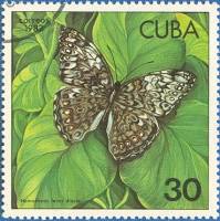 (1982-014) Марка Куба "Карибский крекер"    Бабочки II Θ