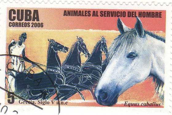 (№4848) Марка Куба 2006 год &quot;Лошади equus ферусом caballus&quot;, Гашеная