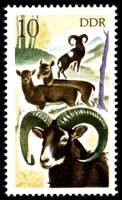(1977-081) Марка Германия (ГДР) "Европейский Муфлон"    Охота III Θ