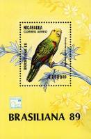 (№1989-184) Блок марок Никарагуа 1989 год "Yellowheaded Амазонки oratrix Амазона", Гашеный