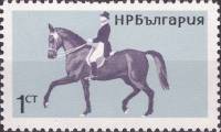 (1965-065) Марка Болгария "Многоборье"   Конный спорт I Θ