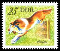 (1976-055) Марка Германия (ГДР) "Колли"    Собаки III Θ