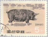 (1967-002) Марка Северная Корея "Свинья"   Домашние животные III Θ