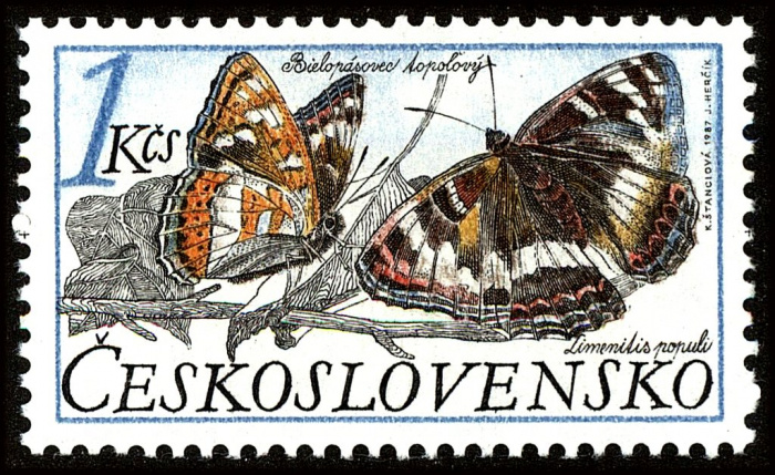 (1987-009) Марка Чехословакия &quot;Ленточник тополёвый&quot;    Охрана природы. Бабочки II Θ