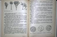 Книга Рациональное использование пролдуктов растениеводства. Справочник. 1985 В. Иванушкин Рига Твёр