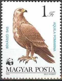 (1983-031) Марка Венгрия "Малый подорлик"    Охраняемые хищные птицы III O