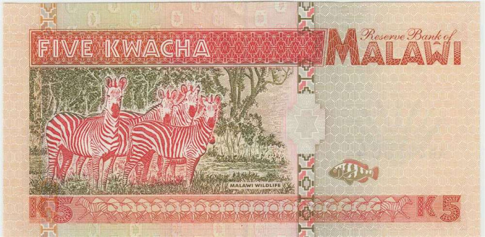 () Банкнота Малави 1995 год   &quot;&quot;   UNC