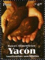 (№2007-2269) Марка Перу 2007 год "Корнеплоды Yacoacuten", Гашеная