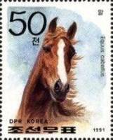 (1991-073) Марка Северная Корея "Домашняя лошадь"   Породы лошадей III Θ