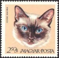 (1968-015) Марка Венгрия "Сиамская кошка"    Домашние кошки III Θ