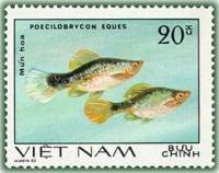 (1981-003a) Марка Вьетнам "Пецилобрикон обыкновенный"  Без перфорации  Декоративные рыбки III Θ