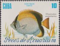 (1985-061) Марка Куба "Рифовая рыба-бабочка"    Рыбы III Θ