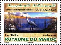 (№2014-1843) Марка Марокко 2014 год "Серая цапля отель ardea стегеа на озере Tislite", Гашеная