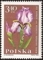 (1964-093) Марка Польша "Ирис"   Садовые цветы II Θ