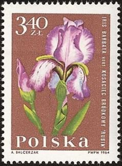 (1964-093) Марка Польша &quot;Ирис&quot;   Садовые цветы II Θ