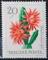 (1965-075) Марка Венгрия "Эпифиллум "    Цветы ботанического сада II Θ