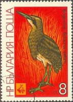 (1981-027) Марка Болгария "Большая Выпь "   Международная охотничья выставка EXPO ' 81 III Θ