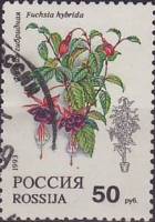 1993-017  Марка Россия Фуксия гибридная  Комнатные растения III Θ