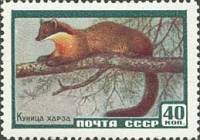 1959-057 Марка СССР Куница харза   Фауна II O