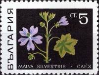 (1969-005) Марка Болгария "Мальва лесная"   Лекарственные растения III O