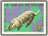 (1967-011) Марка Вьетнам "Свиной барсук"   Дикие животные II Θ