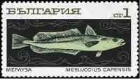 (1969-099) Марка Болгария "Мерлуза"   Океанское рыболовство I Θ