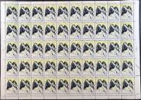 1964-177  Лист (50 м 10х5) СССР Гора Казбек, Кавказ   Советский альпинизм III O