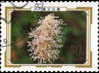 (1989-074) Марка Северная Корея "Кровохлёбка великолепная"   Альпийские цветы III Θ