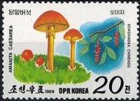 (1989-019) Марка Северная Корея "Цезарский гриб"   Грибы и ягоды III Θ