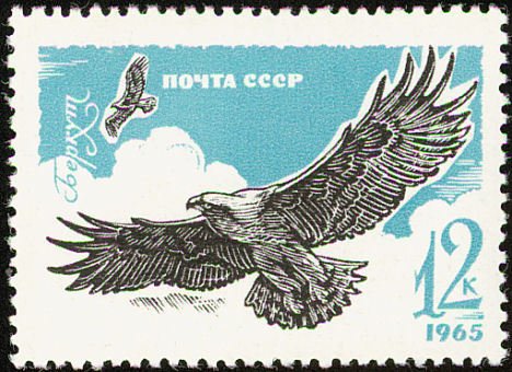 1965-139 Марка СССР Орёл-бородач   Хищные птицы II O
