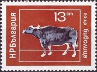 (1974-018) Марка Болгария "Буйвол"    Домашние животные I Θ