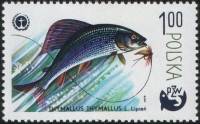 (1979-017) Марка Польша "Европейский хариус"    100 лет спортивной рыбалке III O
