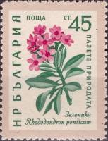 (1960-029) Марка Болгария "Рододендрон понтийский"   Охрана природы. Цветы III Θ