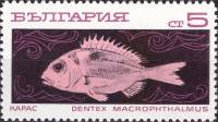 (1969-102) Марка Болгария "Карась"   Океанское рыболовство II Θ