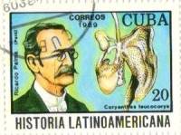 (1989-077) Марка Куба "Рикардо Пальма"    История Латинской Америки III Θ